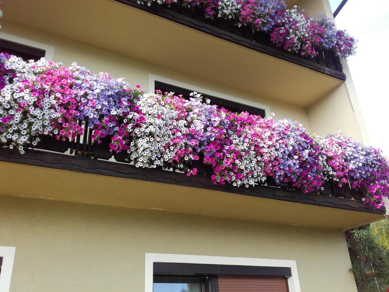 Appartement - Ferienwohnungen - Gaestehaus Gabriele Drobollach am Faakersee Bagian luar foto