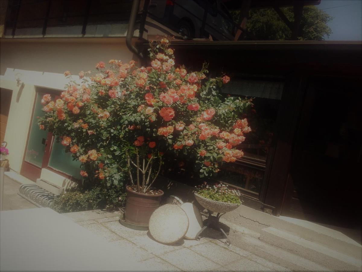 Appartement - Ferienwohnungen - Gaestehaus Gabriele Drobollach am Faakersee Bagian luar foto